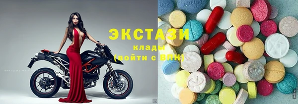 ГАЛЛЮЦИНОГЕННЫЕ ГРИБЫ Гусев