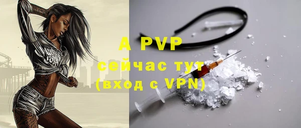 Альфа ПВП Гусь-Хрустальный