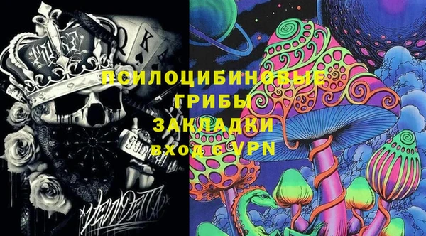 Альфа ПВП Гусь-Хрустальный