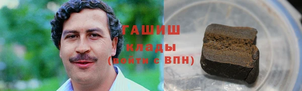 ГАЛЛЮЦИНОГЕННЫЕ ГРИБЫ Гусев