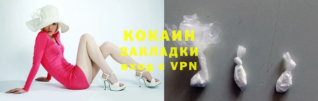 ГАЛЛЮЦИНОГЕННЫЕ ГРИБЫ Гусев