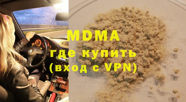 ГАЛЛЮЦИНОГЕННЫЕ ГРИБЫ Гусев