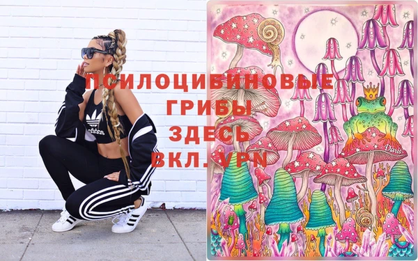 ГАЛЛЮЦИНОГЕННЫЕ ГРИБЫ Гусев