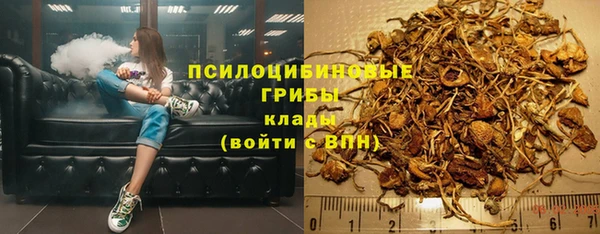 ГАЛЛЮЦИНОГЕННЫЕ ГРИБЫ Гусев