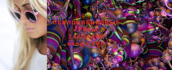ГАЛЛЮЦИНОГЕННЫЕ ГРИБЫ Гусев