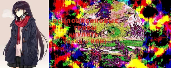 Альфа ПВП Гусь-Хрустальный