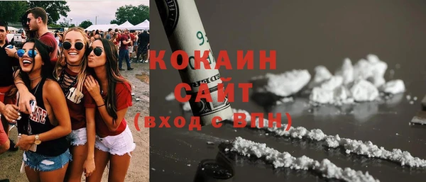 ГАЛЛЮЦИНОГЕННЫЕ ГРИБЫ Гусев