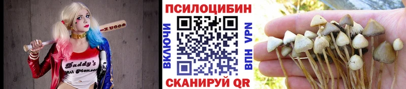 Купить закладки  Кизляр  Галлюциногенные грибы GOLDEN TEACHER 