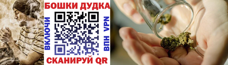 Купить закладки  Кизляр  Марихуана гибрид 